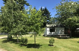 The Cabin